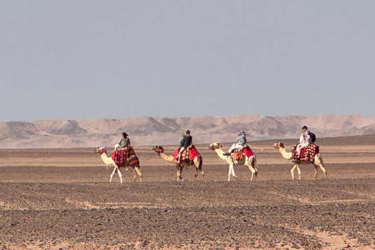 Hurghada: Camel Ride & horse ride and Off-Road Jeep Tour pickup from hotels inside hurghada