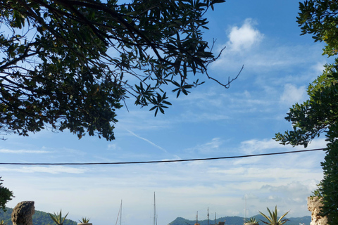 Dubrovnik: Elaphiti Islands Private Speedboat Tour 8 Hours Private Boat Tour - Karnic SL741