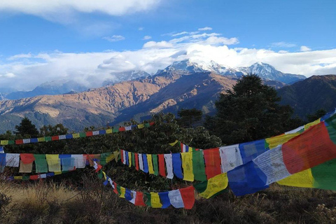 A day hiking from Kathmandu: Phulchowki Hill