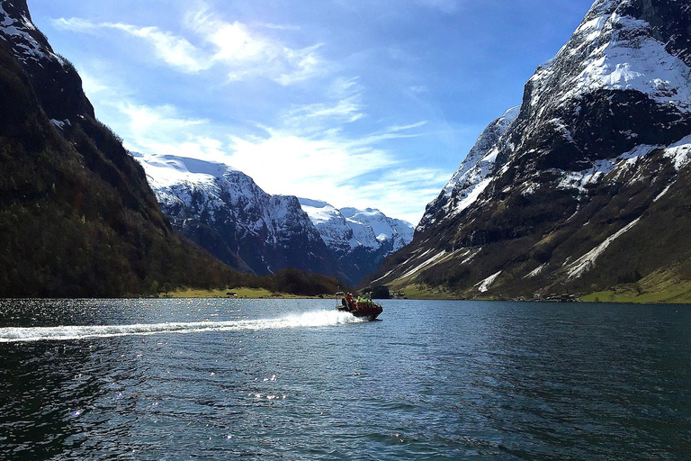 Private day tour to Flåm&RIB Sognefjord Safari&Flåm Railway