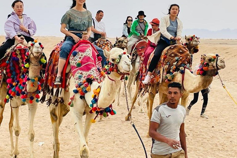 Hurghada: Camel Ride Vibes -The Ultimate Desert Experience 1-Hour Desert & Beach Camel Ride with Transfers