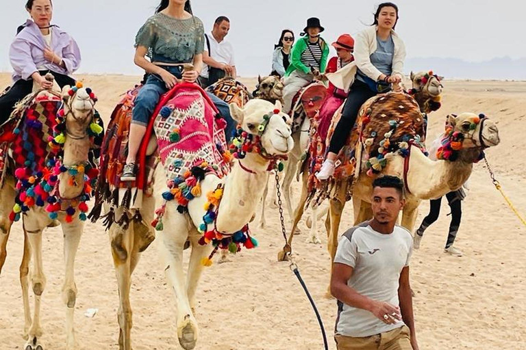 Hurghada: Camel Ride Vibes -The Ultimate Desert Experience 1-Hour Desert & Beach Camel Ride with Transfers