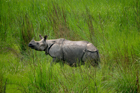 Chitwan: 2 Nights 3 Days Hotel and Ethical Jungle Safari