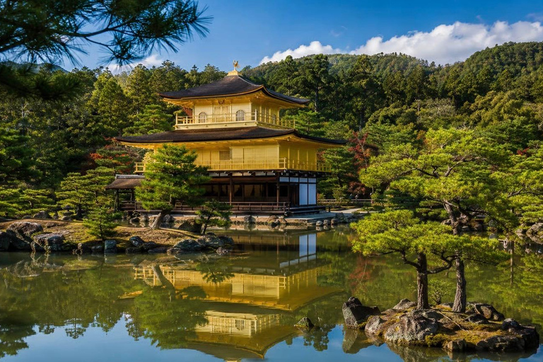 Kyoto Private Full-Day Guided Tour with customised itinerary