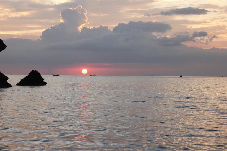 Ko Phi Phi Don: Speedboat Day Trip with Shark Snorkeling