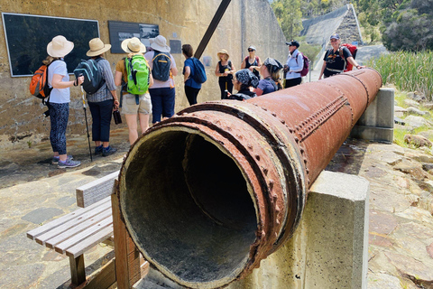 Perth: Bickley Valley Hiking Experience with Morning Tea