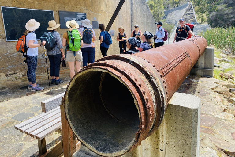 Perth: Bickley Valley Hiking Experience with Morning Tea