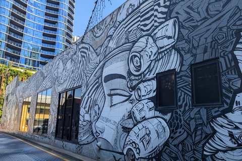 Brisbane: Guided Public and Street Art Walking Tour
