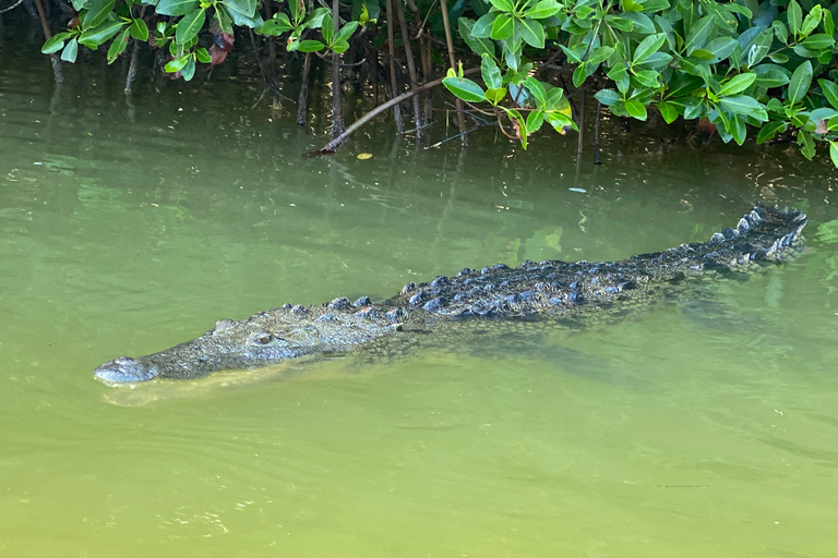 Natuurbelevenis Rio Lagartos en Las Coloradas.