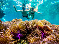 Persona de Koh, Koh Nangyuan y el viaje de las bahías ocultas por el oxígeno - Housity