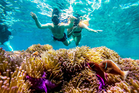 كوه تاو: كوه نانغيوان ورحلة الخلجان المخفية بواسطة الأكسجينرحلة بعد الظهر