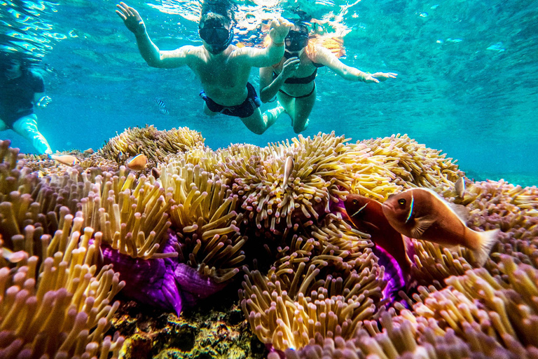 كوه تاو: كوه نانغيوان ورحلة الخلجان المخفية بواسطة الأكسجينرحلة بعد الظهر