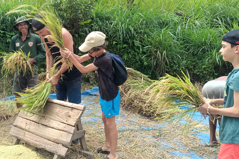 特特巴图：瀑布、香料、梯田、猴子森林特特巴图之旅、香料、瀑布、梯田、猴林