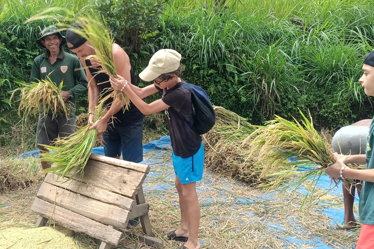 特特巴图：瀑布、香料、梯田、猴子森林特特巴图之旅、香料、瀑布、梯田、猴林