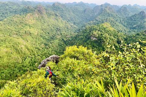 Cat Ba: Half Day Trekking to Visit Cat Ba National Park