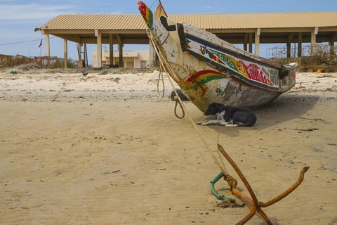 From Dakar: 7-Day Senegal Tour with Gorée Island & Safari