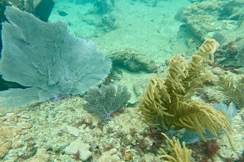 Fort Lauderdale: Ocean Reef Snorkel Tour w/ Snacks & Drinks