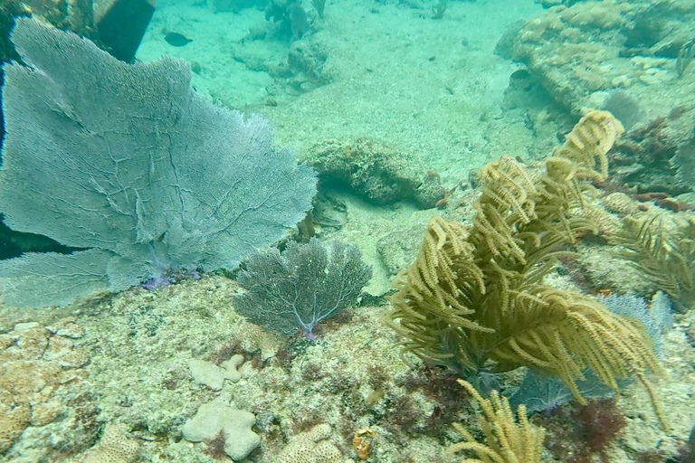 Fort Lauderdale: Ocean Reef Snorkel Tour w/ Snacks & Drinks