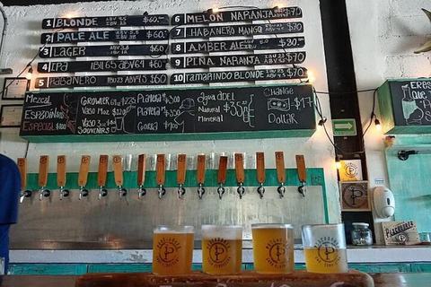 Mexico : visite guidée des brasseries artisanales de La RomaPrivé