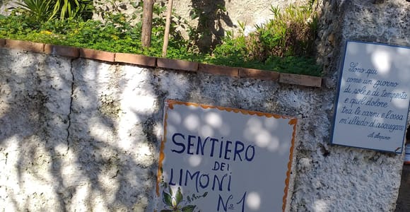 Lemon Path hiking experience from Maiori to Minori