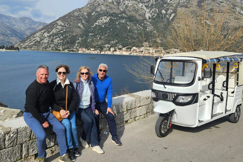 Kotor: eTukTuk Tour with Prčanj, Tivat, and Trojica Hill
