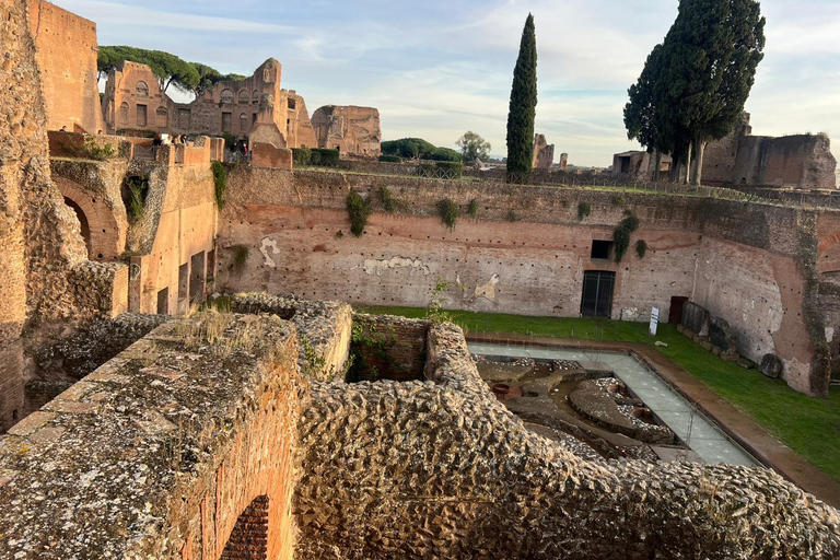 Small Group Guided Tour Colosseum Roman Forum, Palatine Hill Standard Tickets
