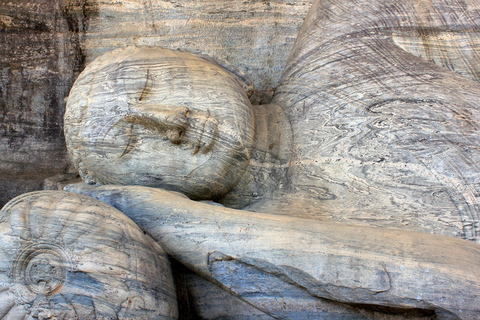 Habarana: Polonnaruwa, Sigiriya en dambulla dagexcursie