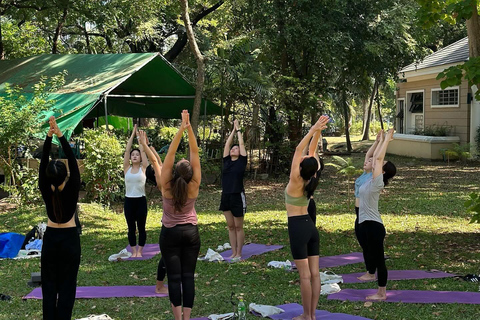Bangkok: Ochtendyoga voor alle niveaus in Lumphini ParkBangkok: Yoga voor alle niveaus in het Lumphini Park