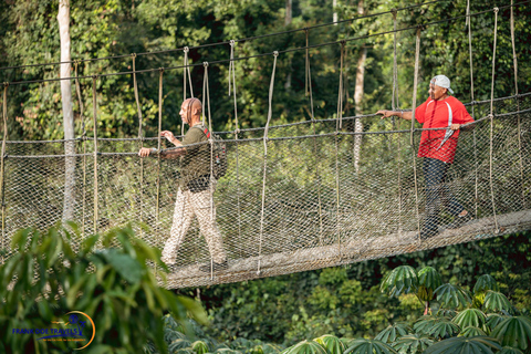 Accra: 8-Day Guided Cultural Tour of Ghana