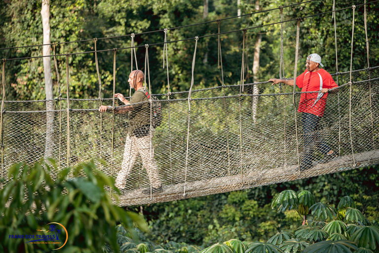 Accra: 8-Day Guided Cultural Tour of Ghana