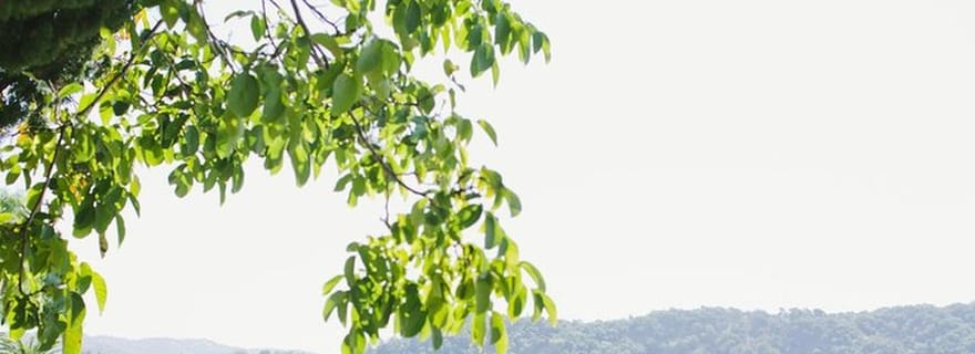 Vallée de Napa : visite guidée en vélo électrique
