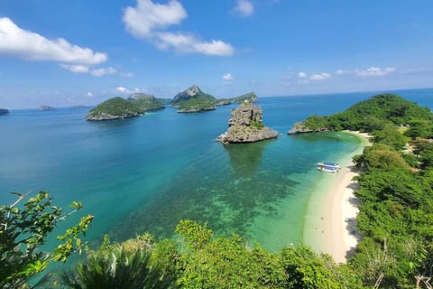 Koh Samui: Angthong National Marine Park with Speedboat - Image 2