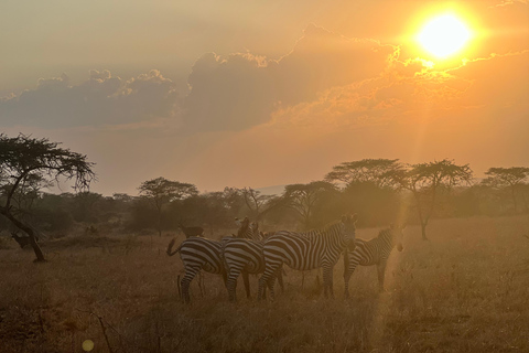 Entebbe: Nationaal Park Lake Mburo, Equator Tour &amp; Rondvaart