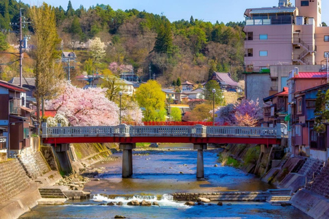 Depuis Osaka/Kyoto : Excursion d&#039;une journée à Shirakawa-go, TakaYama et Kanazawa