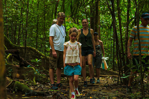 Uvita: Corcovado Rainforest & Wildlife Adventure