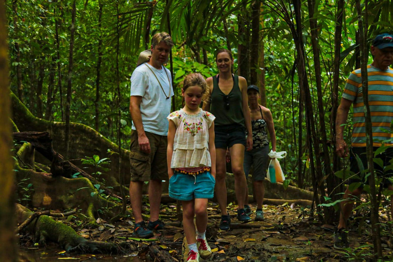 Uvita: Corcovado Rainforest & Wildlife Adventure