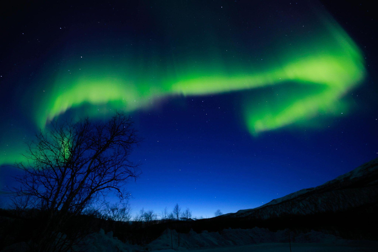 Tromsö: Norrskenstur med fotografering (kinesiska)