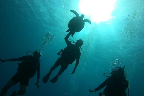 Private: Punta Cana Coral Reef Scuba Experience