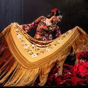 Madrid: "Emociones" Live Flamenco Performance