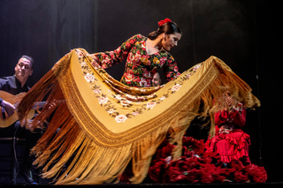 Madrid: "Emociones" Live Flamenco Performance