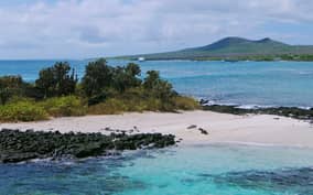  - Canarie.it