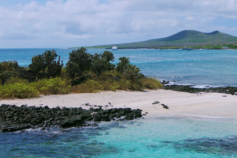 Floreana: Snorkeling, History and Volcanic Trails Sightseeing Tour Floreana: Snorkeling, History, and Volcanic Trails Sightseeing Tour