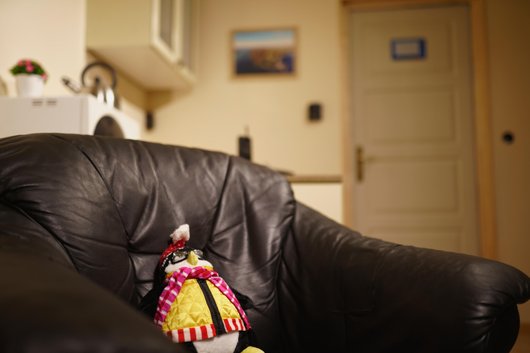 Budapest: 90s Sitcom Escape Room Adventure with Drinks