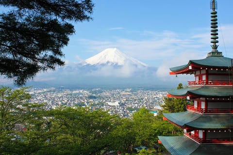 Mount Fuji Custom Private Tour - Image 2