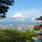 Mount Fuji Custom Private Tour