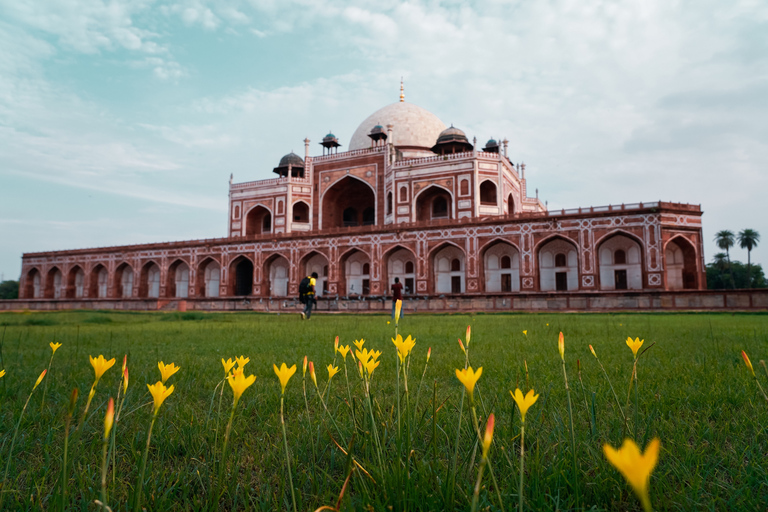 Excursión con escala en Delhi: Lo viejo y lo nuevo, del aeropuerto a la ciudad con trasladoOpción 3: Excursión de 8 horas con escala en Delhi