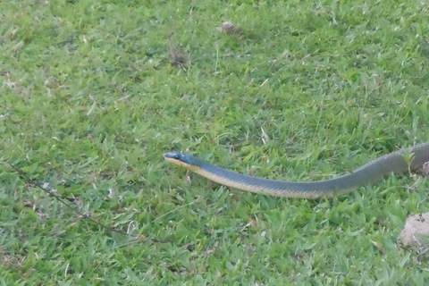 La Gamba: Nationalpark Piedras Blancas