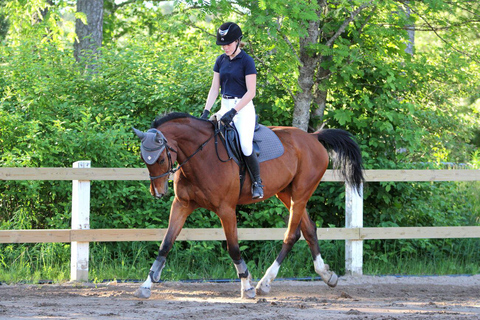 Pokharas erstes Reitabenteuer