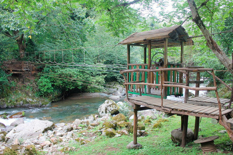 From Batumi: Mtirala National Park Guided Hike, Cable Car