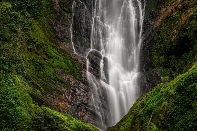 NYUNGWE: Passeio no dossel do Parque Nacional de Nyungwe